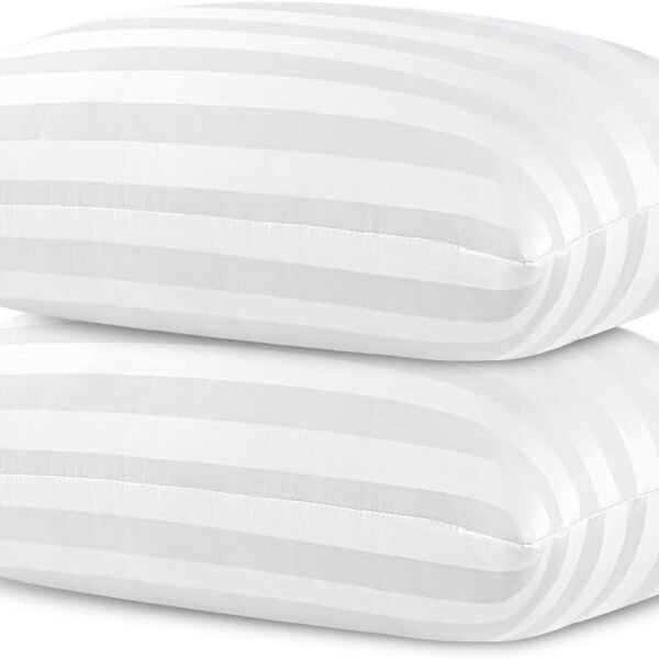 Queen Size Pillows for Side and Back Bed Pillows for Sleeping 2 Pack Sleepers Super Soft Down Alternative Microfiber Filled Pillows 20 x 30 Inches