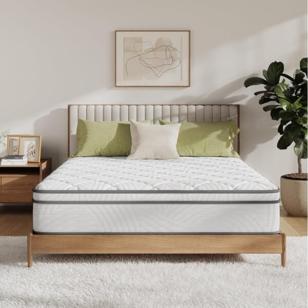 Queen Mattress, 14 Inch Queen Size Mattress in a Box, Queen Hybrid Mattress for Back Pain Relief & Support, Spring Mattresses with Motion Isolation & Pillow Top,